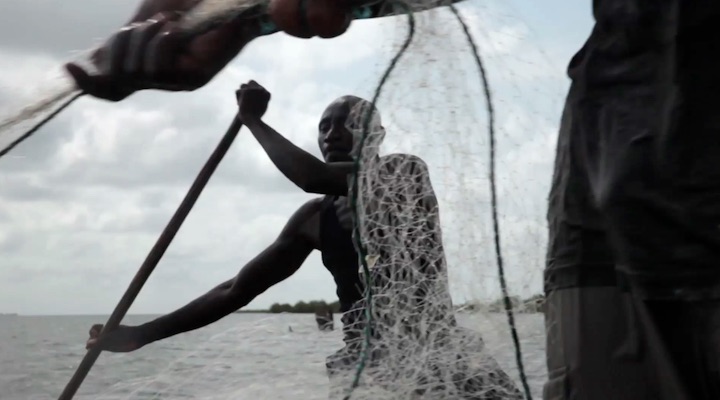 Pêche sur le fleuve Casamance